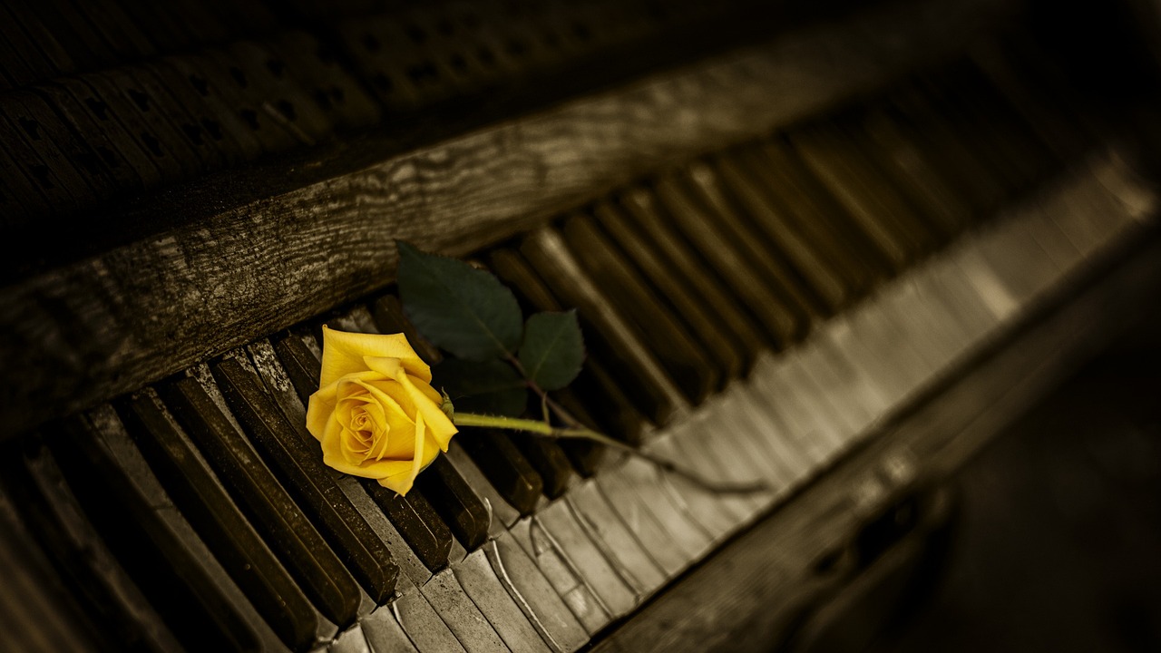 piano rose yellow rose old piano 1239729